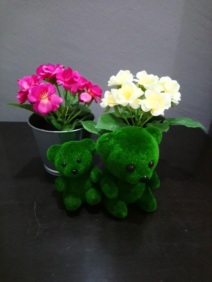Jb Homestay Bukit Indah Wifi Ciq Mall Legoland Free Parking Johor Bahru Exteriér fotografie